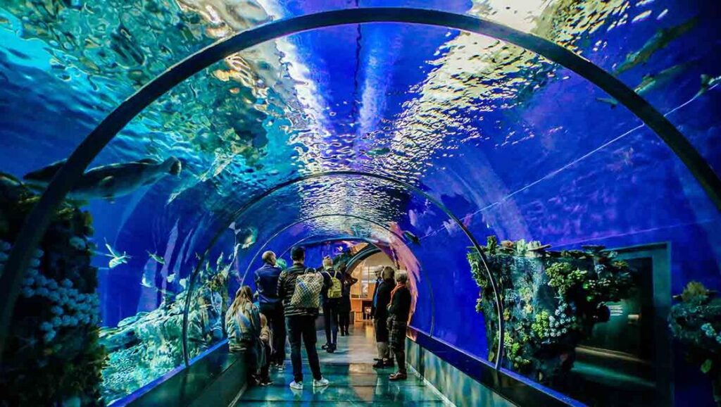 East Coast Tour from Dubai