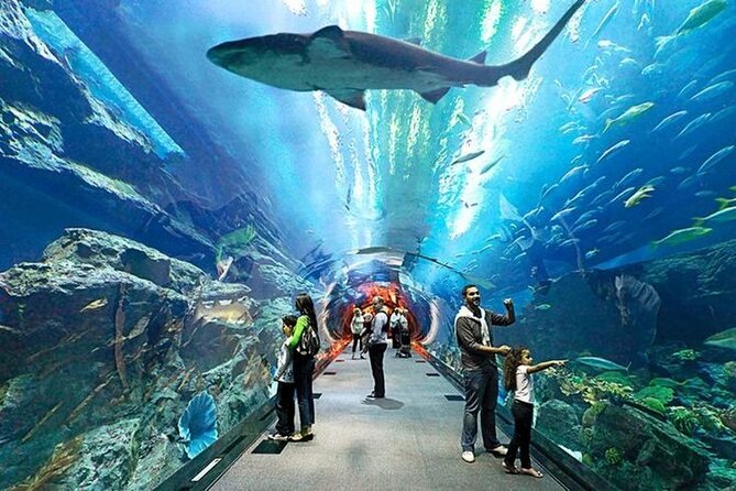TOP 5 Dubai Attractions