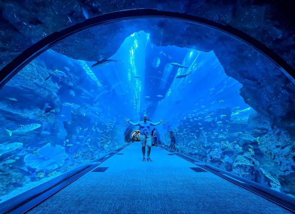 TOP 5 Dubai Attractions