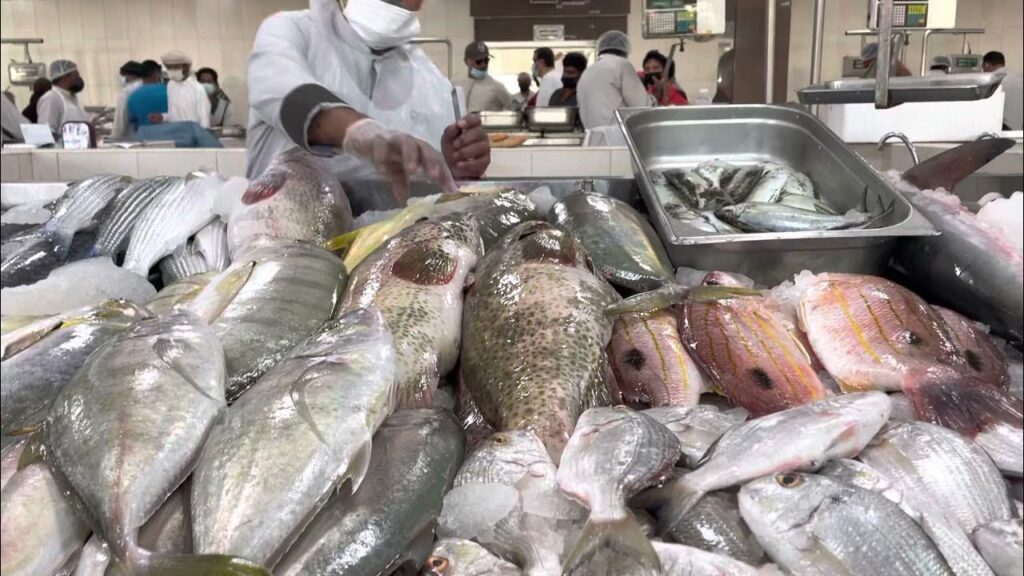 Ras Al Khaimah City Tour